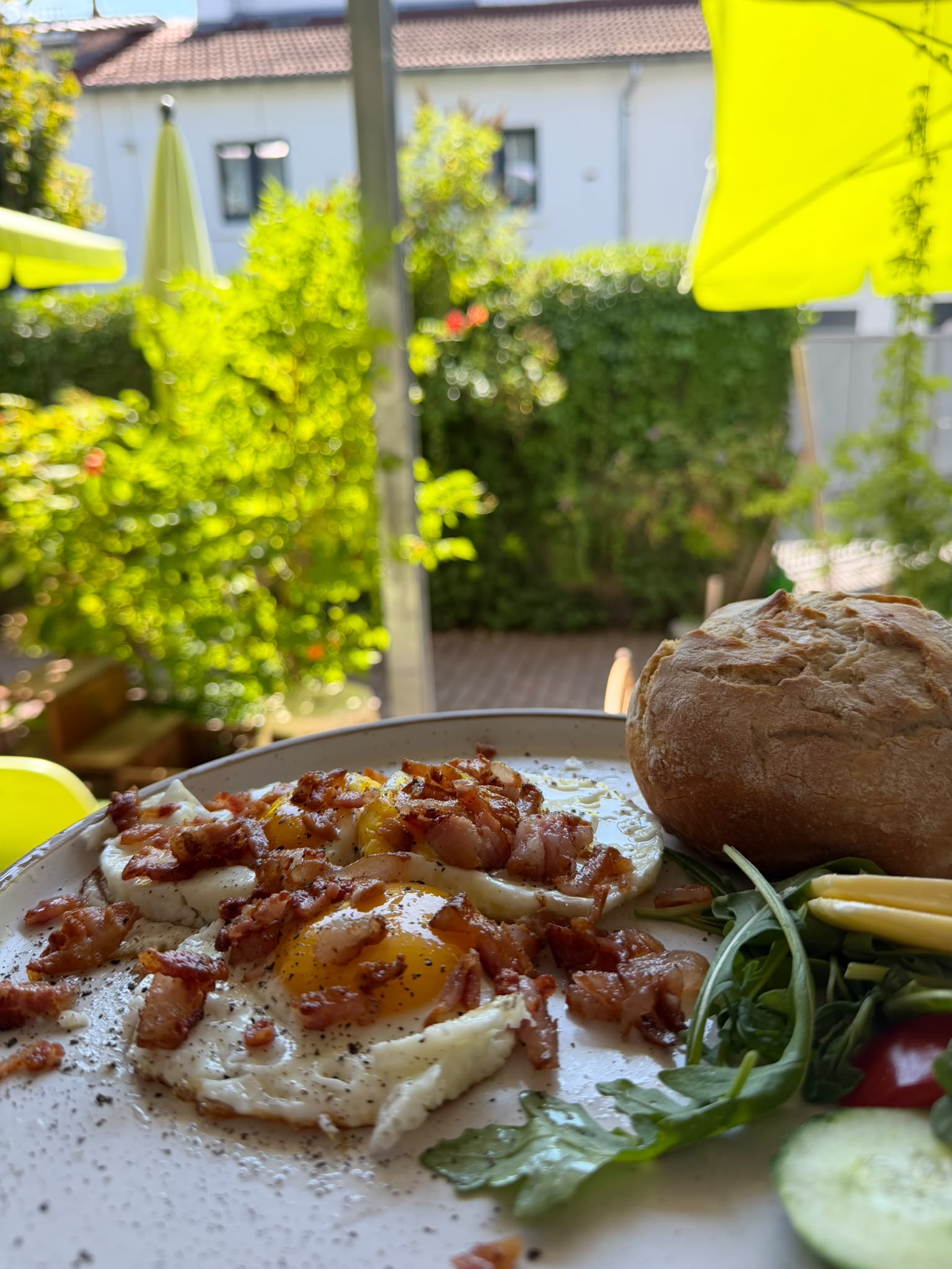 Frühstücksteller mit Eiern, Speck, Brot und Salat